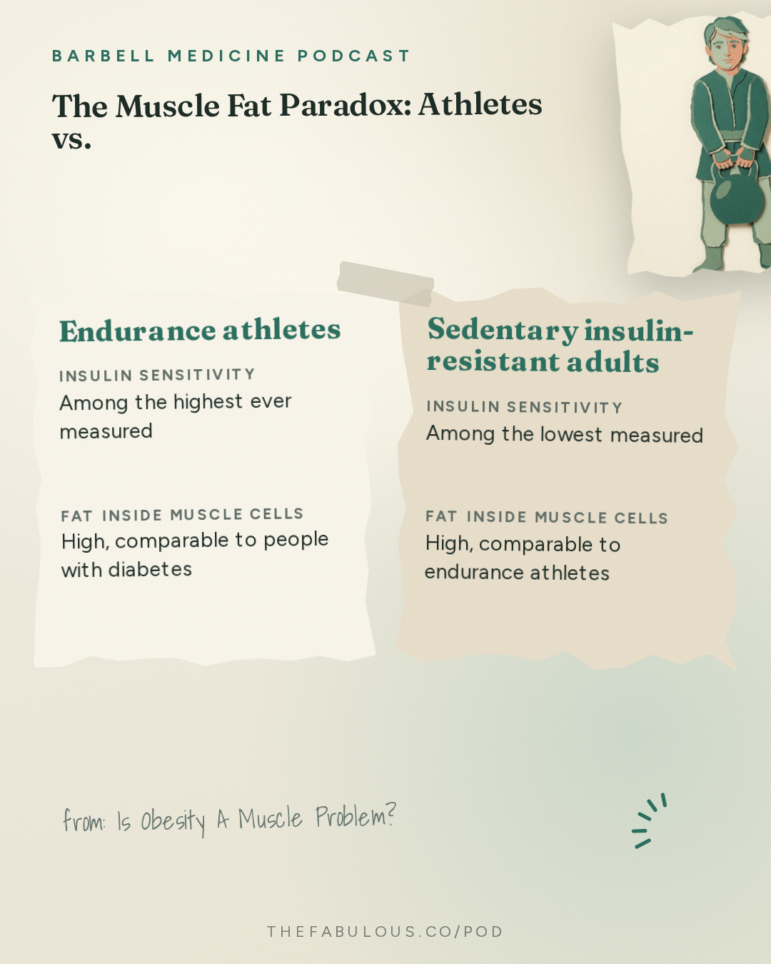The Muscle Fat Paradox: Athletes vs. Sedentary Insulin-Resistant Adults — Barbell Medicine Podcast: Is Obesity A Muscle Problem?