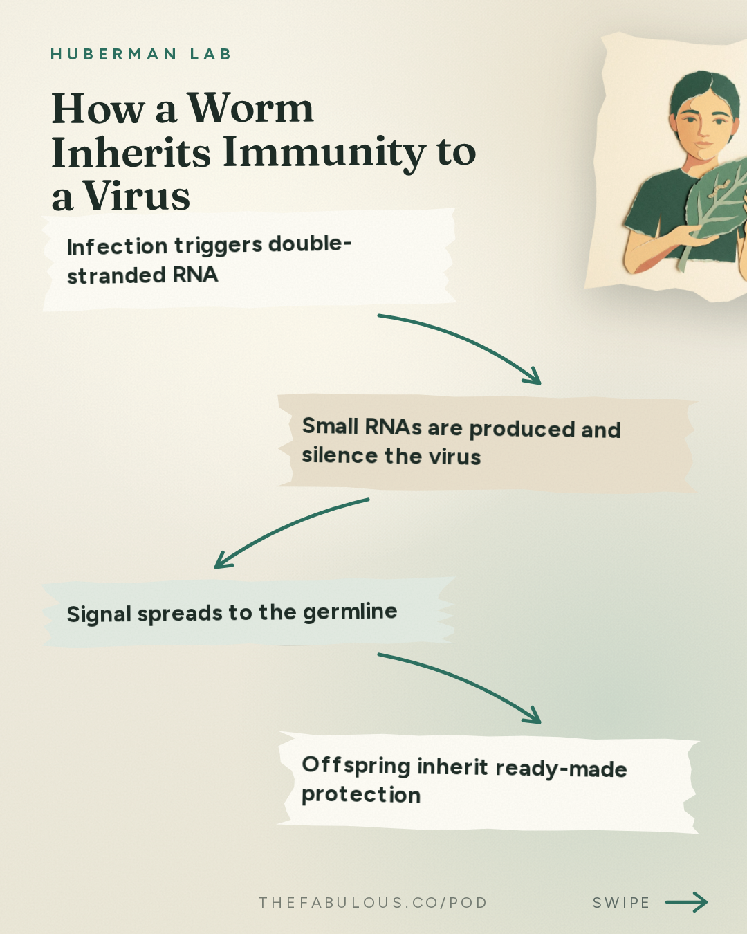 How a Worm Inherits Immunity to a Virus — Huberman Lab: Essentials: Genes & the Inheritance of Memories Across Generations | Dr. Oded Rechavi
