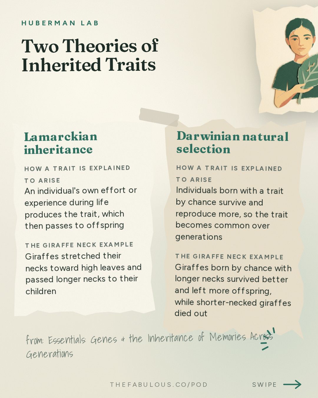 Two Theories of Inherited Traits — Huberman Lab: Essentials: Genes & the Inheritance of Memories Across Generations | Dr. Oded Rechavi