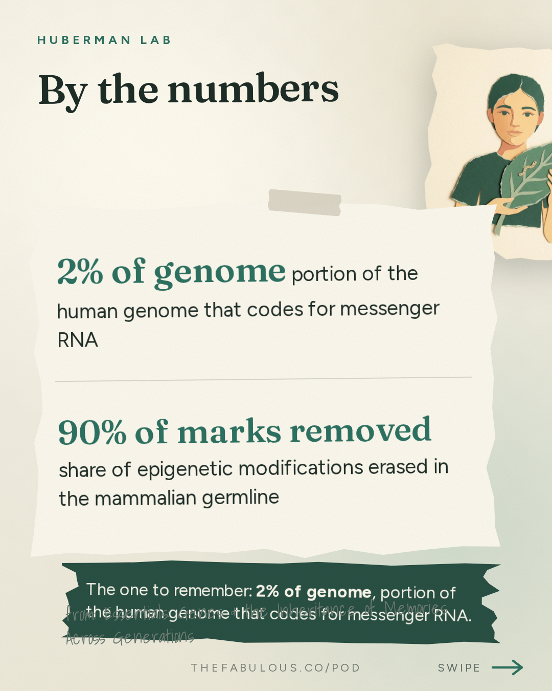 By the numbers — Huberman Lab: Essentials: Genes & the Inheritance of Memories Across Generations | Dr. Oded Rechavi