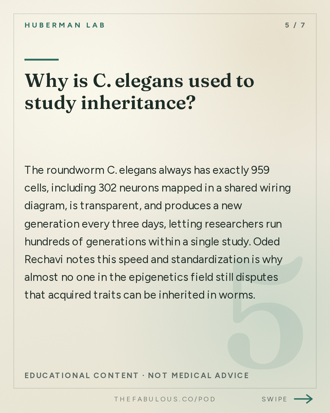Why is C. elegans used to study inheritance? — Huberman Lab: Essentials: Genes & the Inheritance of Memories Across Generations | Dr. Oded Rechavi