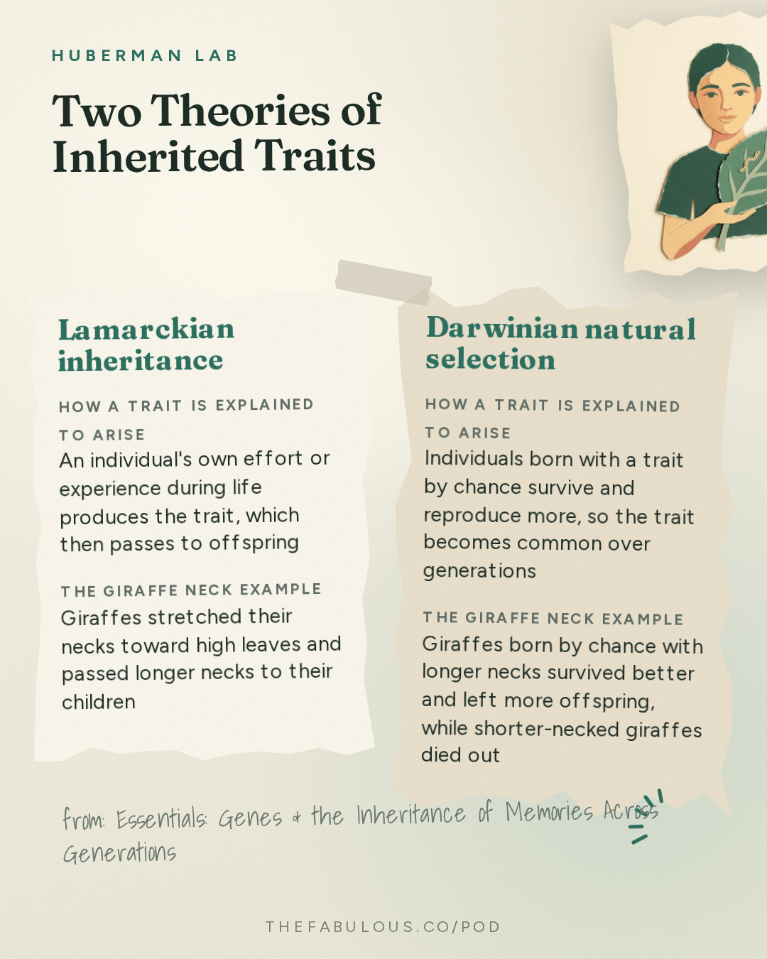 Two Theories of Inherited Traits — Huberman Lab: Essentials: Genes & the Inheritance of Memories Across Generations | Dr. Oded Rechavi