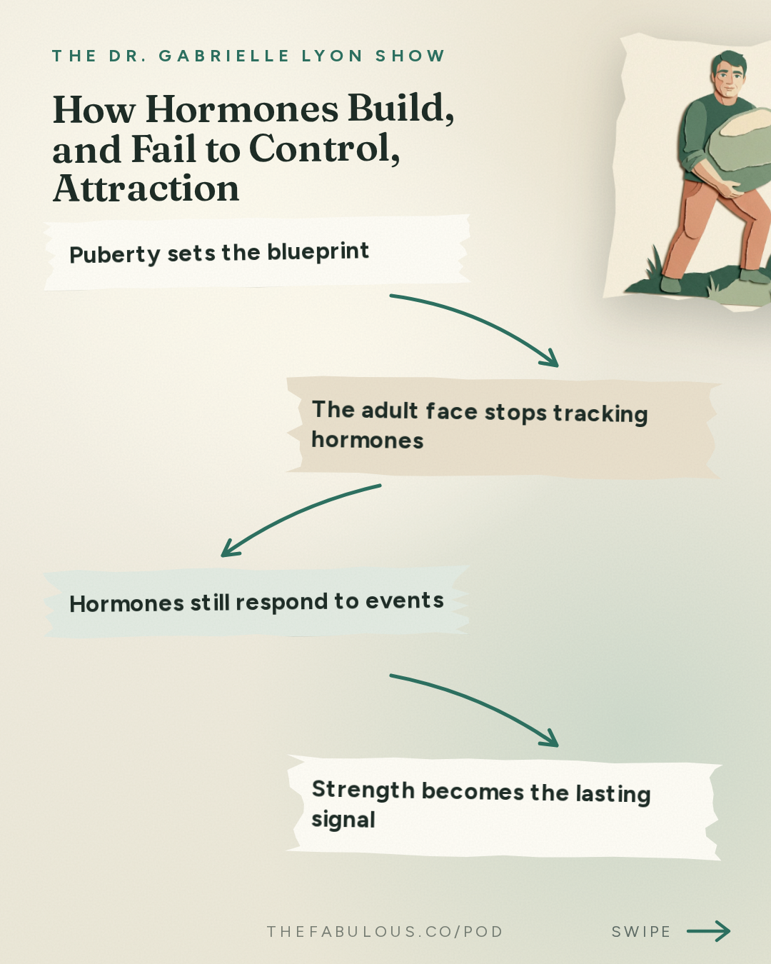 How Hormones Build, and Fail to Control, Attraction — The Dr. Gabrielle Lyon Show: Hormones and Attraction: What We Think We Know vs. What the Science Says