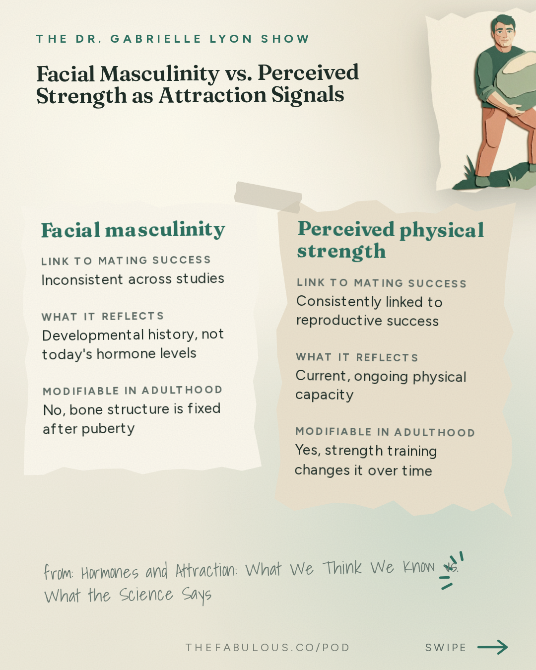 Facial Masculinity vs. Perceived Strength as Attraction Signals — The Dr. Gabrielle Lyon Show: Hormones and Attraction: What We Think We Know vs. What the Science Says