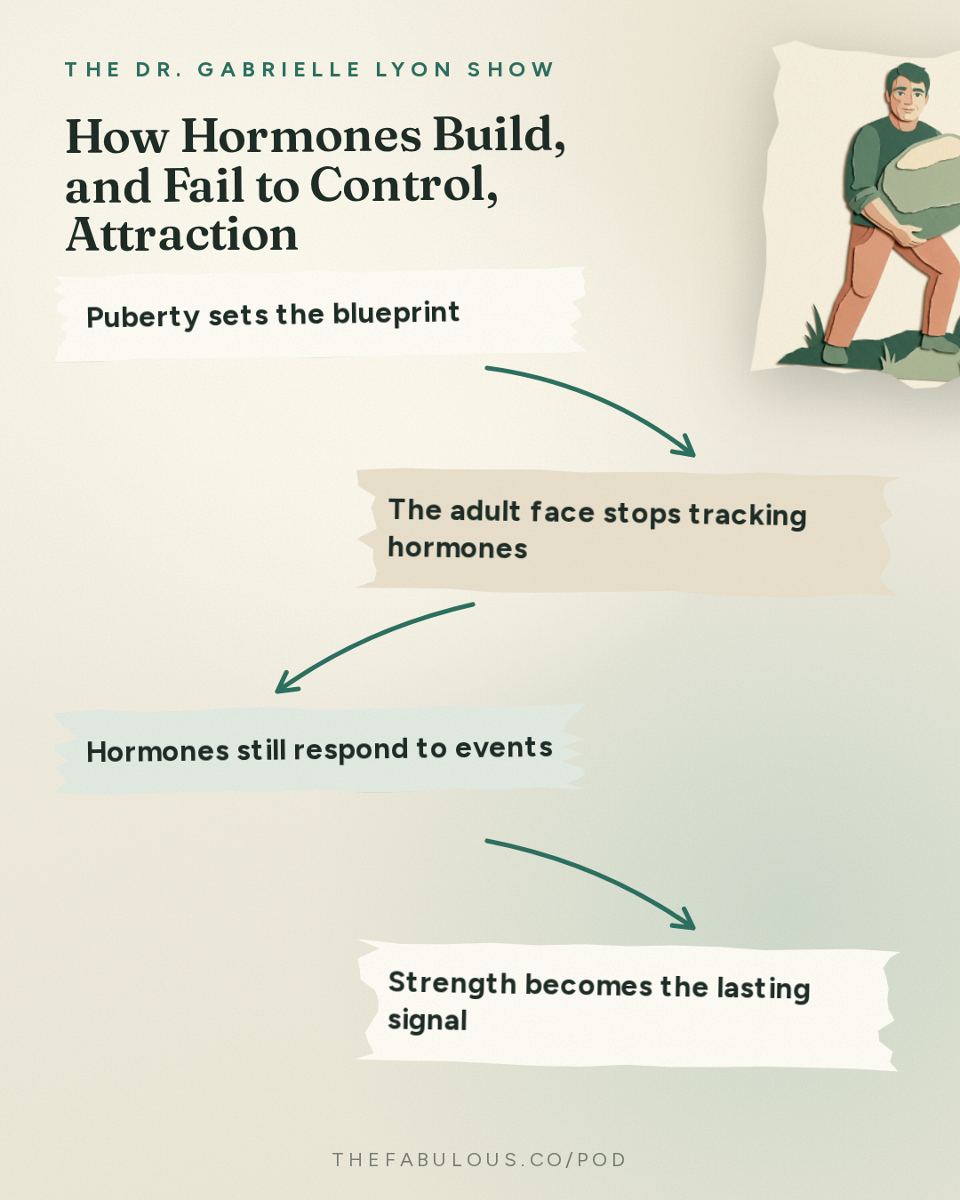 How Hormones Build, and Fail to Control, Attraction — The Dr. Gabrielle Lyon Show: Hormones and Attraction: What We Think We Know vs. What the Science Says