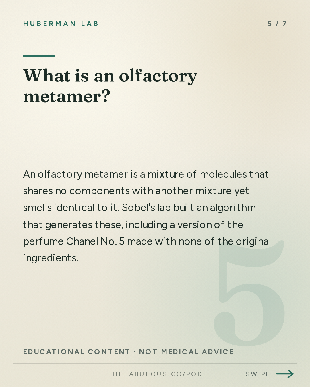 What is an olfactory metamer? — Huberman Lab: Essentials: How Smells Influence Our Hormones, Health & Behavior | Dr. Noam Sobel
