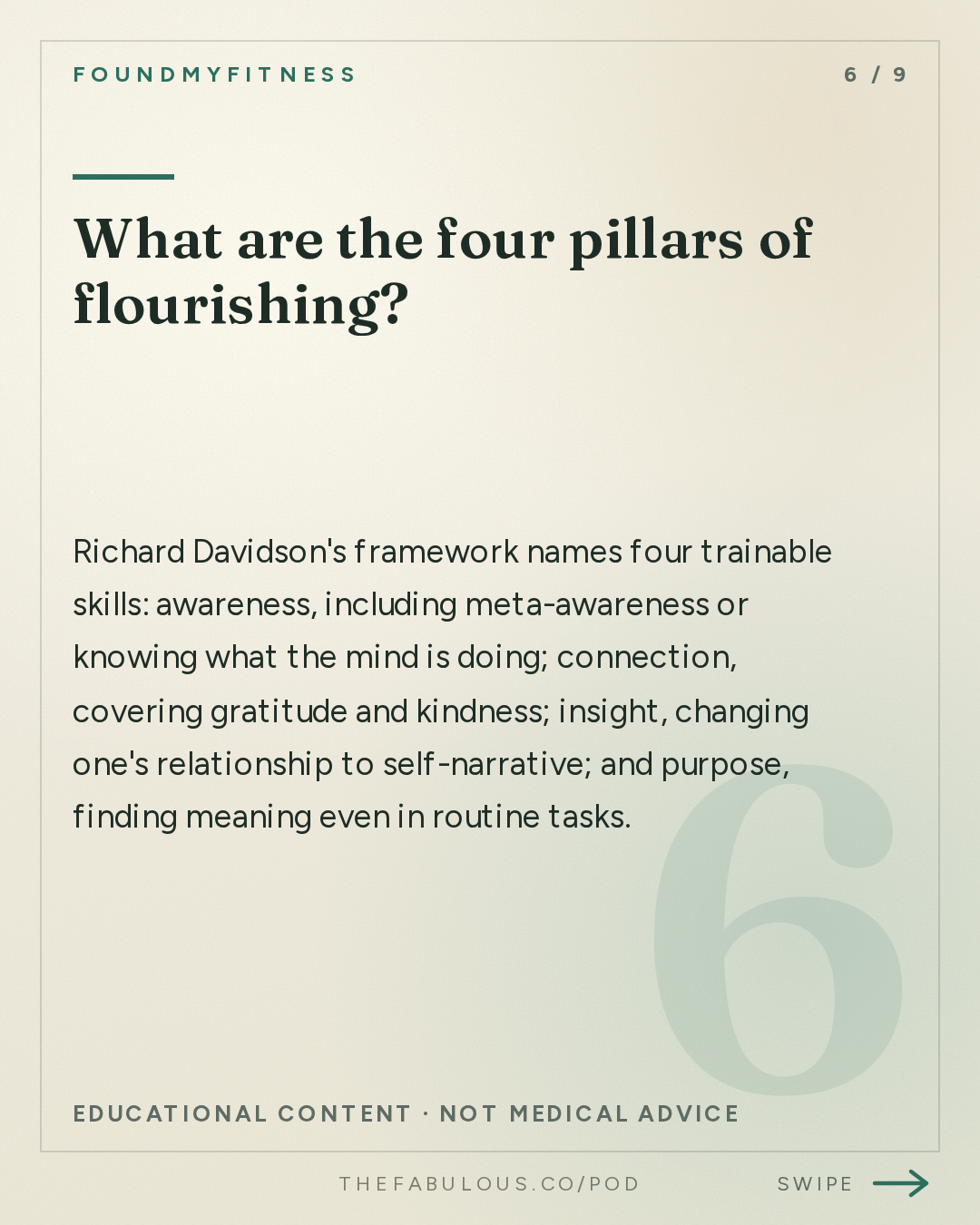 What are the four pillars of flourishing? — FoundMyFitness: #114 How Meditation Rewires Your Brain, Gut, & Immune System | Dr. Richard Davidson