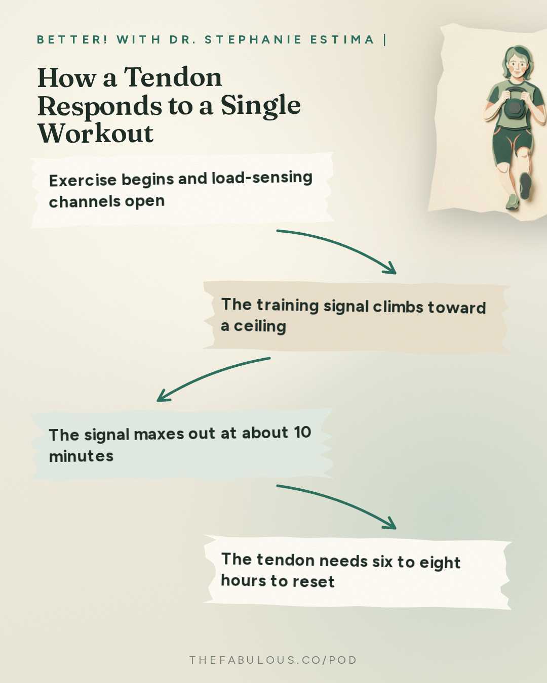 How a Tendon Responds to a Single Workout — BETTER! with Dr. Stephanie Estima | Strength, Body Composition & Perimenopause: Why Your Tendons Get Injured in Perimenopause (and How to Reverse It) with Dr. Keith Baar