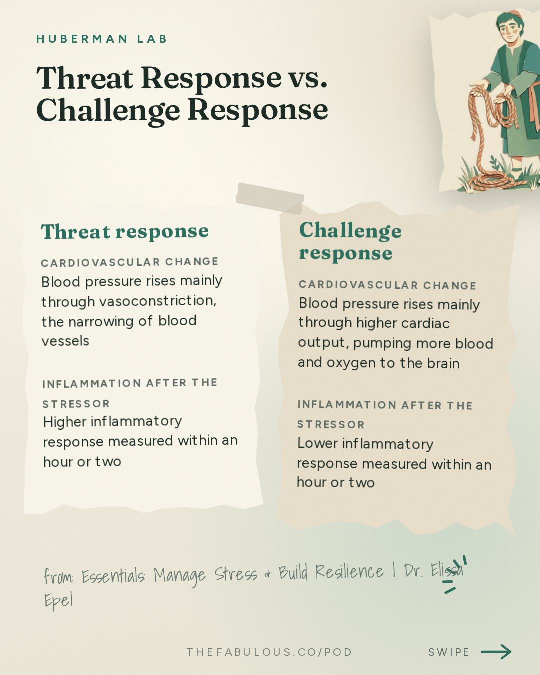 Threat Response vs. Challenge Response — Huberman Lab: Essentials: Manage Stress & Build Resilience | Dr. Elissa Epel