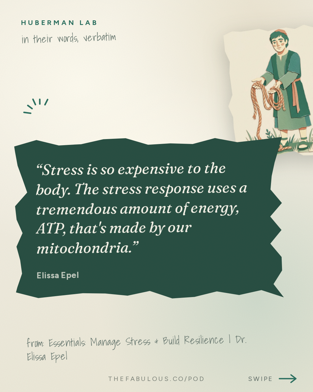 Stress is so expensive to the body. The stress response uses a tremendous amount of energy, ATP, that's made by our mitochondria. — Huberman Lab: Essentials: Manage Stress & Build Resilience | Dr. Elissa Epel