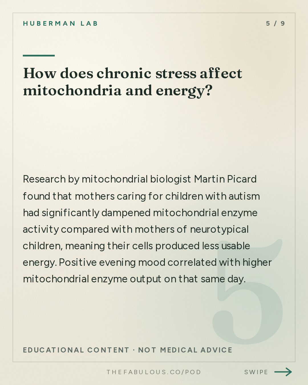 How does chronic stress affect mitochondria and energy? — Huberman Lab: Essentials: Manage Stress & Build Resilience | Dr. Elissa Epel