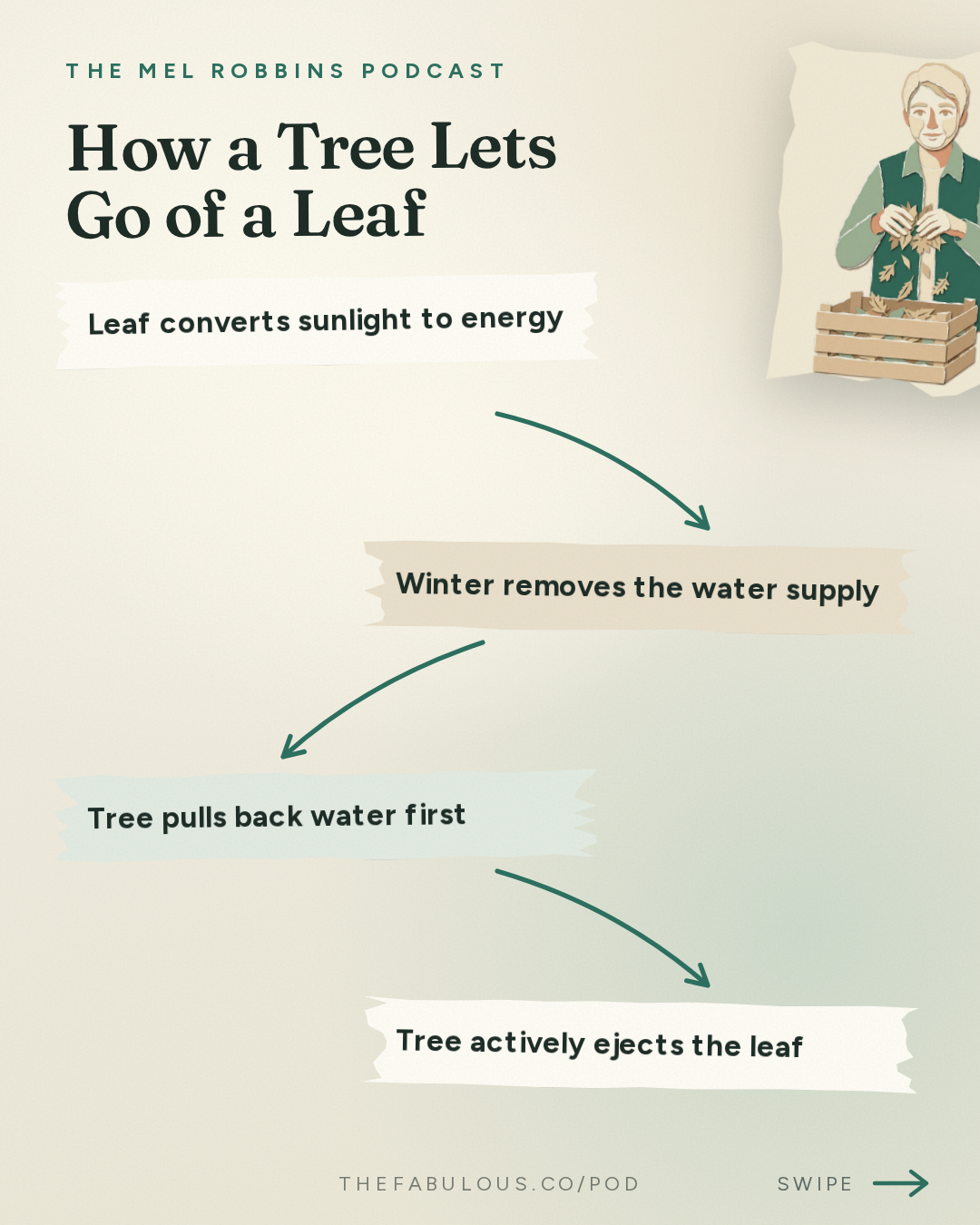 How a Tree Lets Go of a Leaf — The Mel Robbins Podcast: How to Let Go of What No Longer Serves You