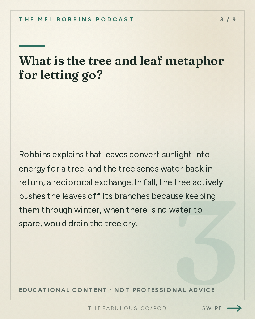 What is the tree and leaf metaphor for letting go? — The Mel Robbins Podcast: How to Let Go of What No Longer Serves You