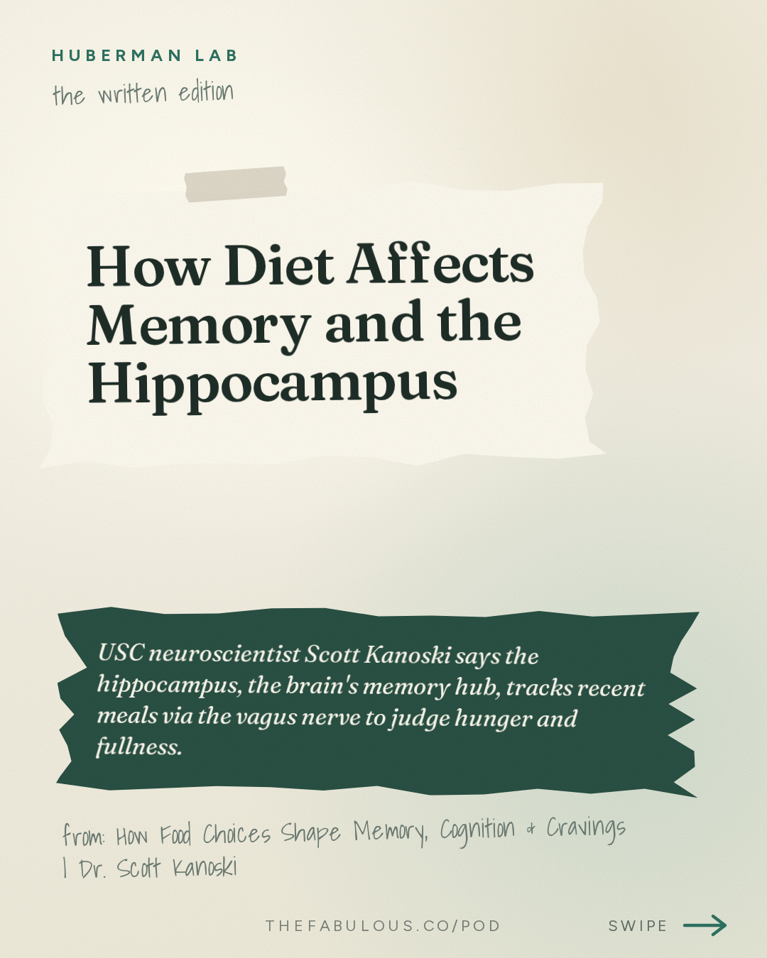 How Diet Affects Memory and the Hippocampus — Huberman Lab: How Food Choices Shape Memory, Cognition & Cravings | Dr. Scott Kanoski
