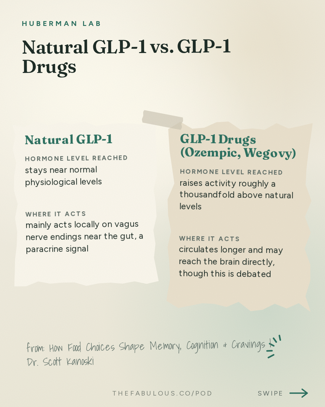 Natural GLP-1 vs. GLP-1 Drugs — Huberman Lab: How Food Choices Shape Memory, Cognition & Cravings | Dr. Scott Kanoski