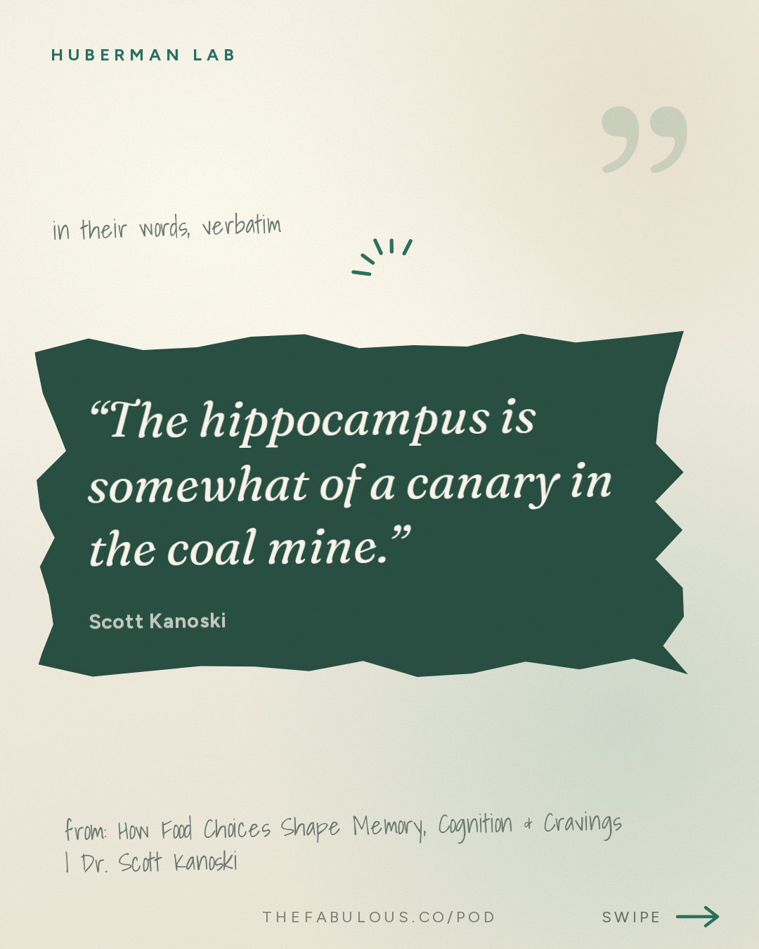 The hippocampus is somewhat of a canary in the coal mine. — Huberman Lab: How Food Choices Shape Memory, Cognition & Cravings | Dr. Scott Kanoski