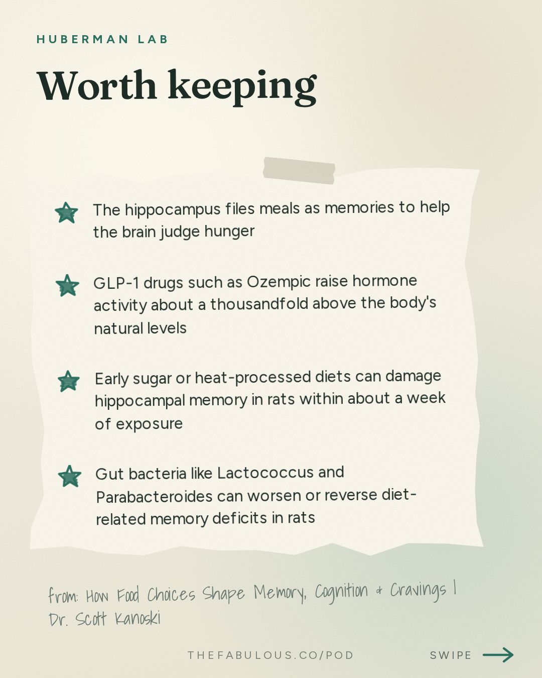 Worth keeping — Huberman Lab: How Food Choices Shape Memory, Cognition & Cravings | Dr. Scott Kanoski