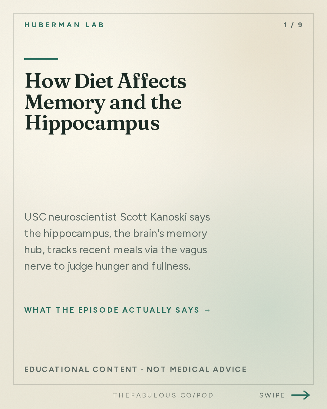 How Diet Affects Memory and the Hippocampus — Huberman Lab: How Food Choices Shape Memory, Cognition & Cravings | Dr. Scott Kanoski
