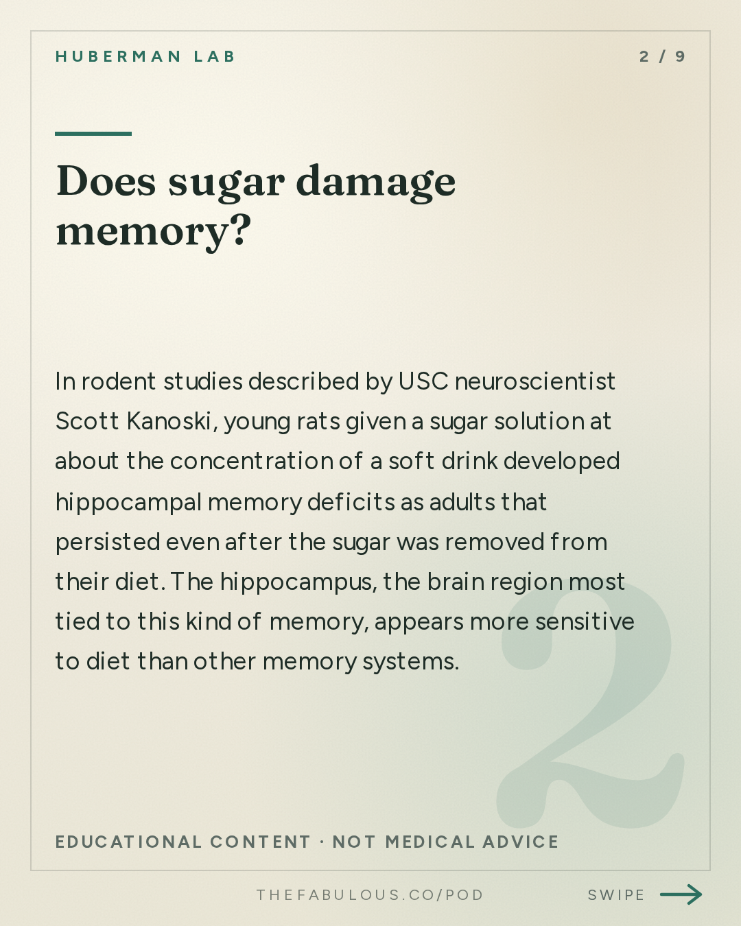 Does sugar damage memory? — Huberman Lab: How Food Choices Shape Memory, Cognition & Cravings | Dr. Scott Kanoski