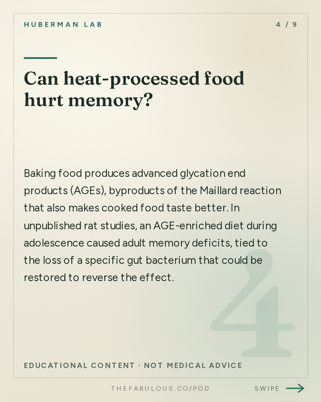 Can heat-processed food hurt memory? — Huberman Lab: How Food Choices Shape Memory, Cognition & Cravings | Dr. Scott Kanoski