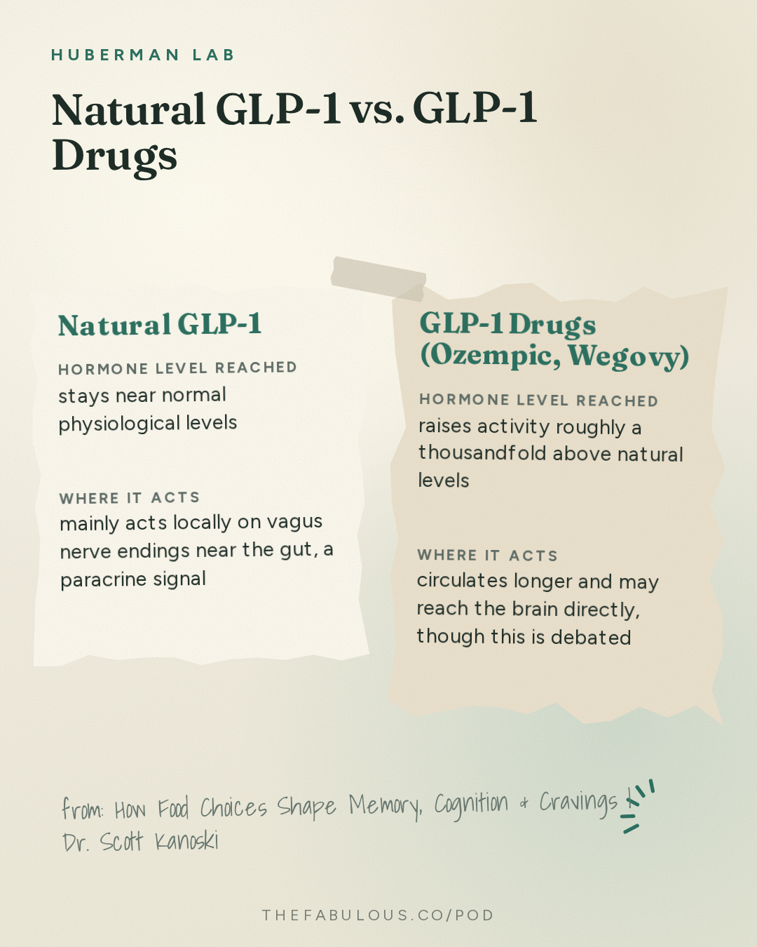Natural GLP-1 vs. GLP-1 Drugs — Huberman Lab: How Food Choices Shape Memory, Cognition & Cravings | Dr. Scott Kanoski