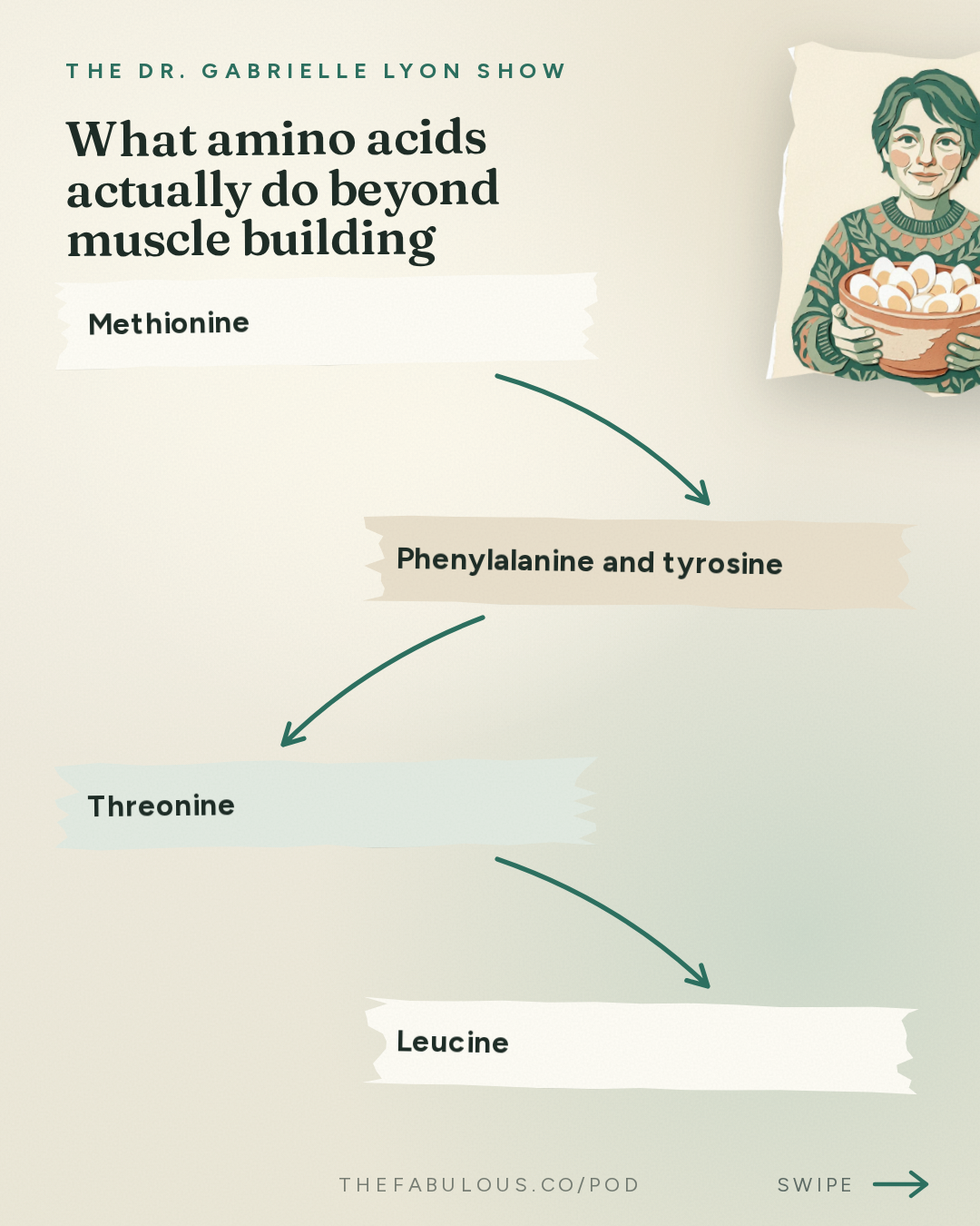What amino acids actually do beyond muscle building — The Dr. Gabrielle Lyon Show: How Much Protein Do You Need? Top Scientists Still Disagree