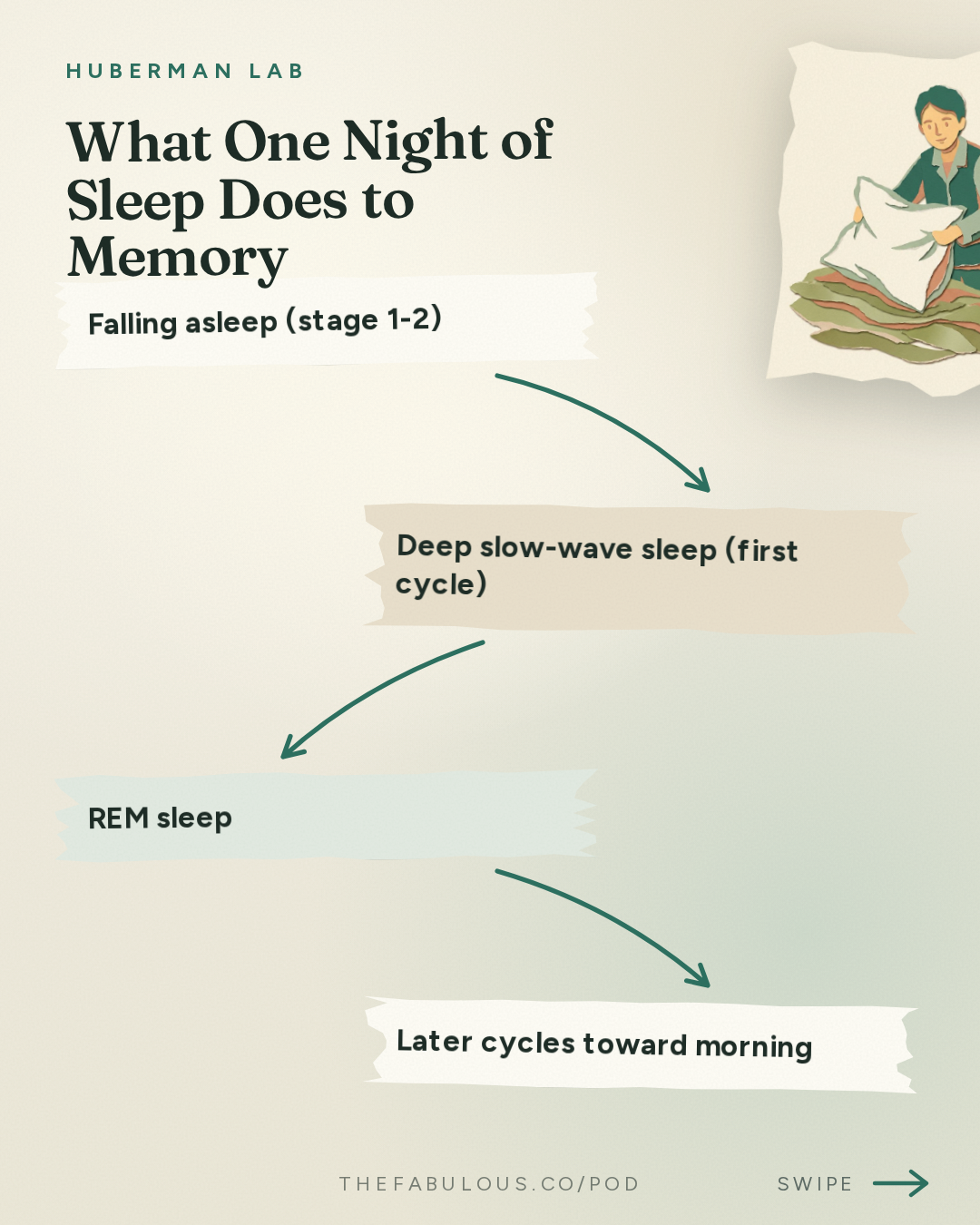 What One Night of Sleep Does to Memory — Huberman Lab: Essentials: Use Sleep to Enhance Learning, Memory & Emotional State | Dr. Gina Poe