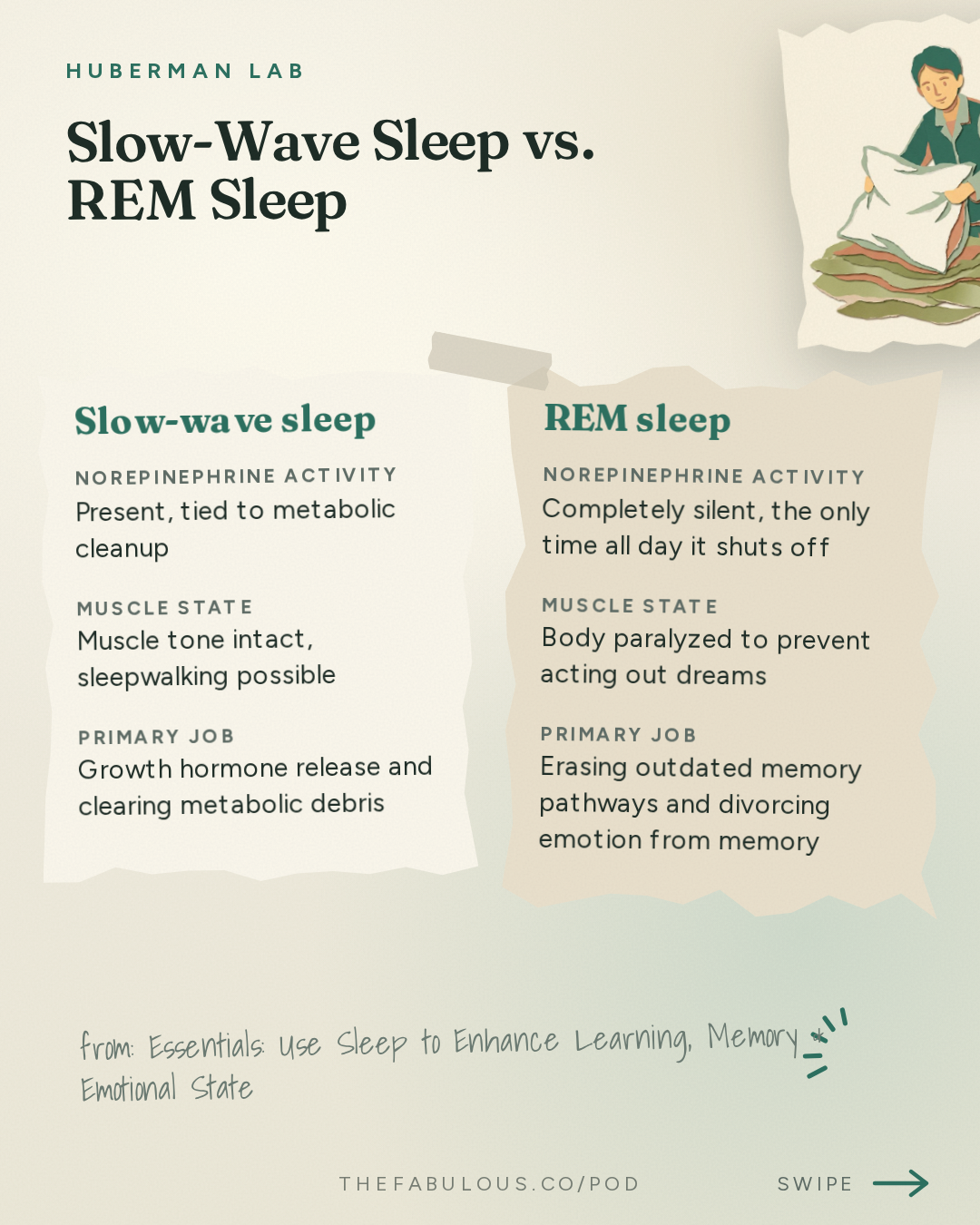 Slow-Wave Sleep vs. REM Sleep — Huberman Lab: Essentials: Use Sleep to Enhance Learning, Memory & Emotional State | Dr. Gina Poe
