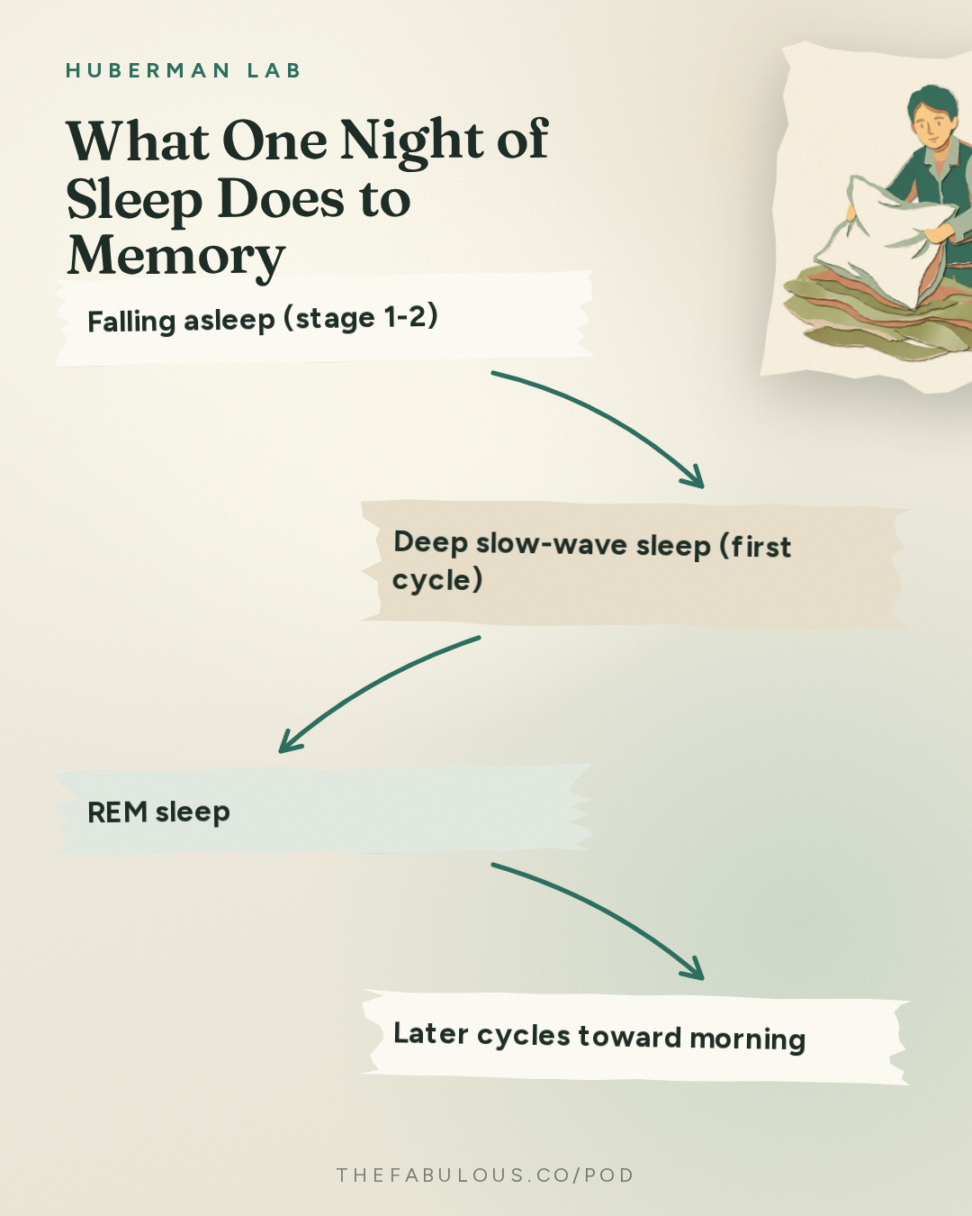 What One Night of Sleep Does to Memory — Huberman Lab: Essentials: Use Sleep to Enhance Learning, Memory & Emotional State | Dr. Gina Poe
