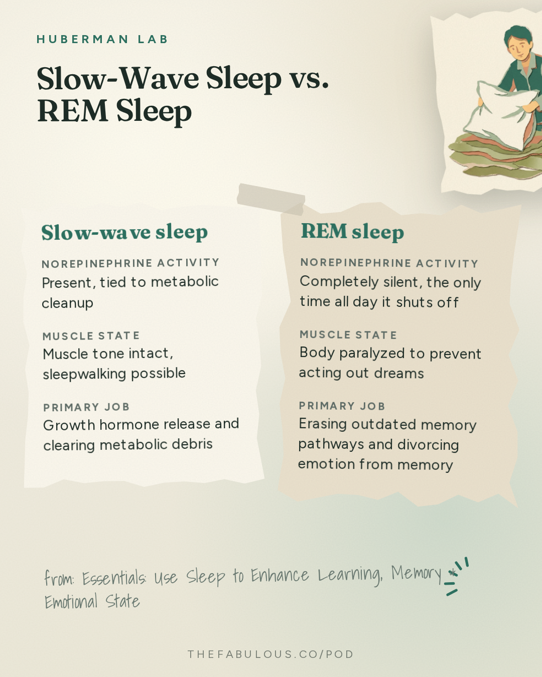 Slow-Wave Sleep vs. REM Sleep — Huberman Lab: Essentials: Use Sleep to Enhance Learning, Memory & Emotional State | Dr. Gina Poe