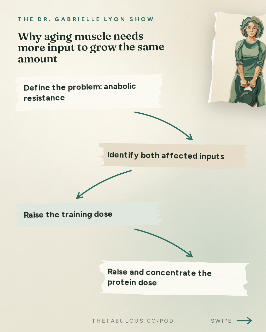Why aging muscle needs more input to grow the same amount — The Dr. Gabrielle Lyon Show: Is It Too Late to Build Muscle in Menopause? No. Here's What the Studies Show