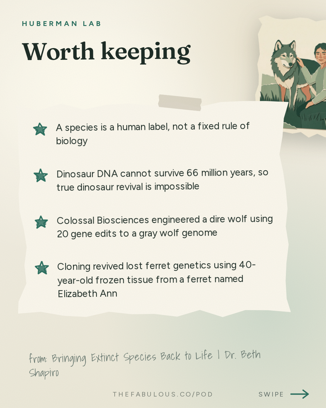 Worth keeping — Huberman Lab: Bringing Extinct Species Back to Life | Dr. Beth Shapiro