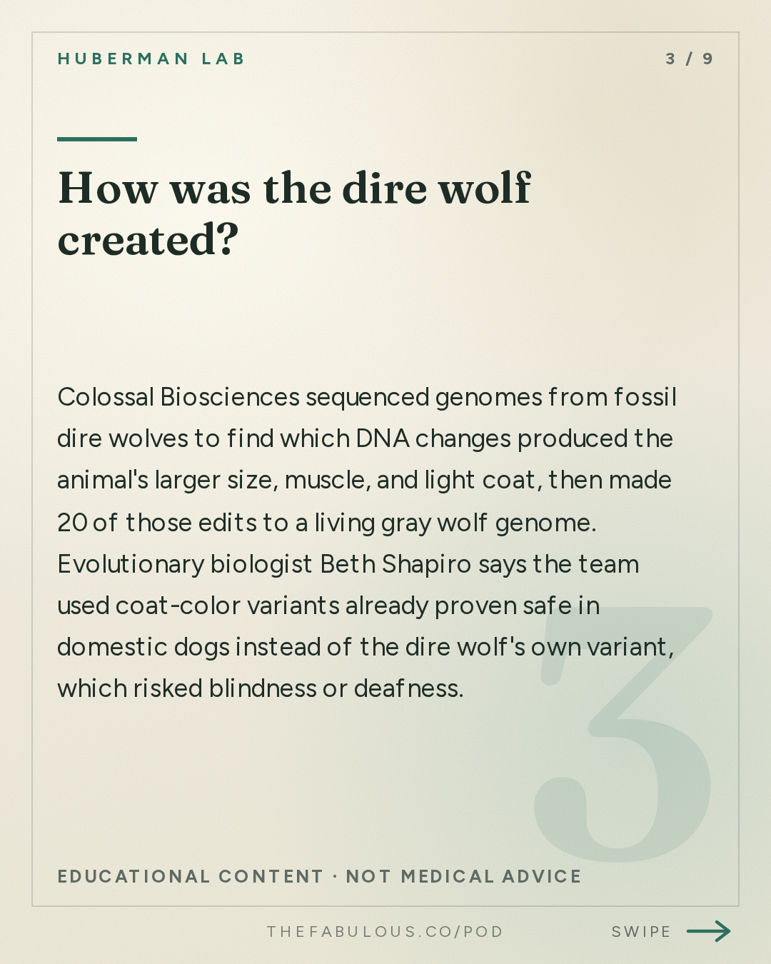 How was the dire wolf created? — Huberman Lab: Bringing Extinct Species Back to Life | Dr. Beth Shapiro