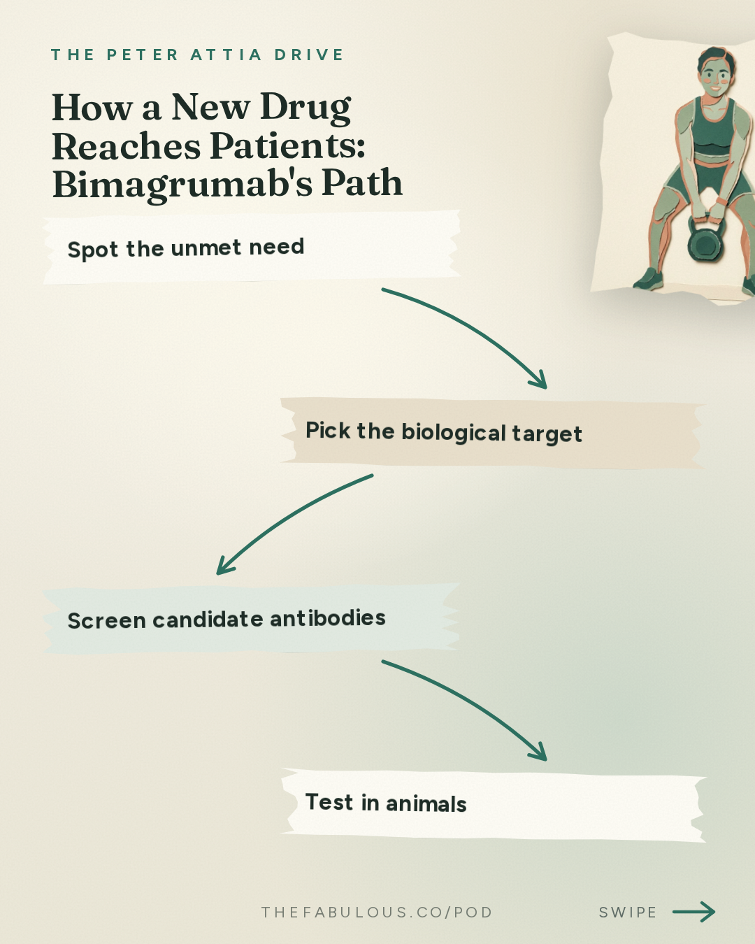 How a New Drug Reaches Patients: Bimagrumab's Path — The Peter Attia Drive: #409 ‒ Inside modern drug development: the science, economics, and regulatory hurdles behind bringing new medicines to patients | Lloyd Klickstein, M.D., Ph.D.