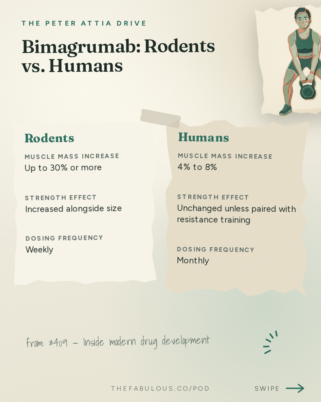 Bimagrumab: Rodents vs. Humans — The Peter Attia Drive: #409 ‒ Inside modern drug development: the science, economics, and regulatory hurdles behind bringing new medicines to patients | Lloyd Klickstein, M.D., Ph.D.