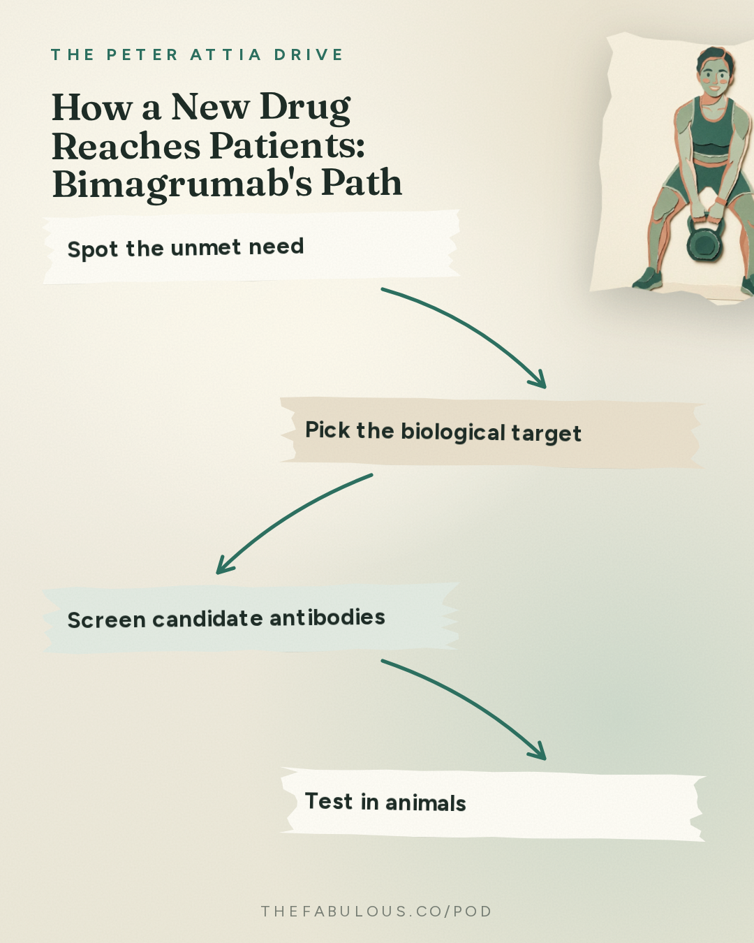 How a New Drug Reaches Patients: Bimagrumab's Path — The Peter Attia Drive: #409 ‒ Inside modern drug development: the science, economics, and regulatory hurdles behind bringing new medicines to patients | Lloyd Klickstein, M.D., Ph.D.