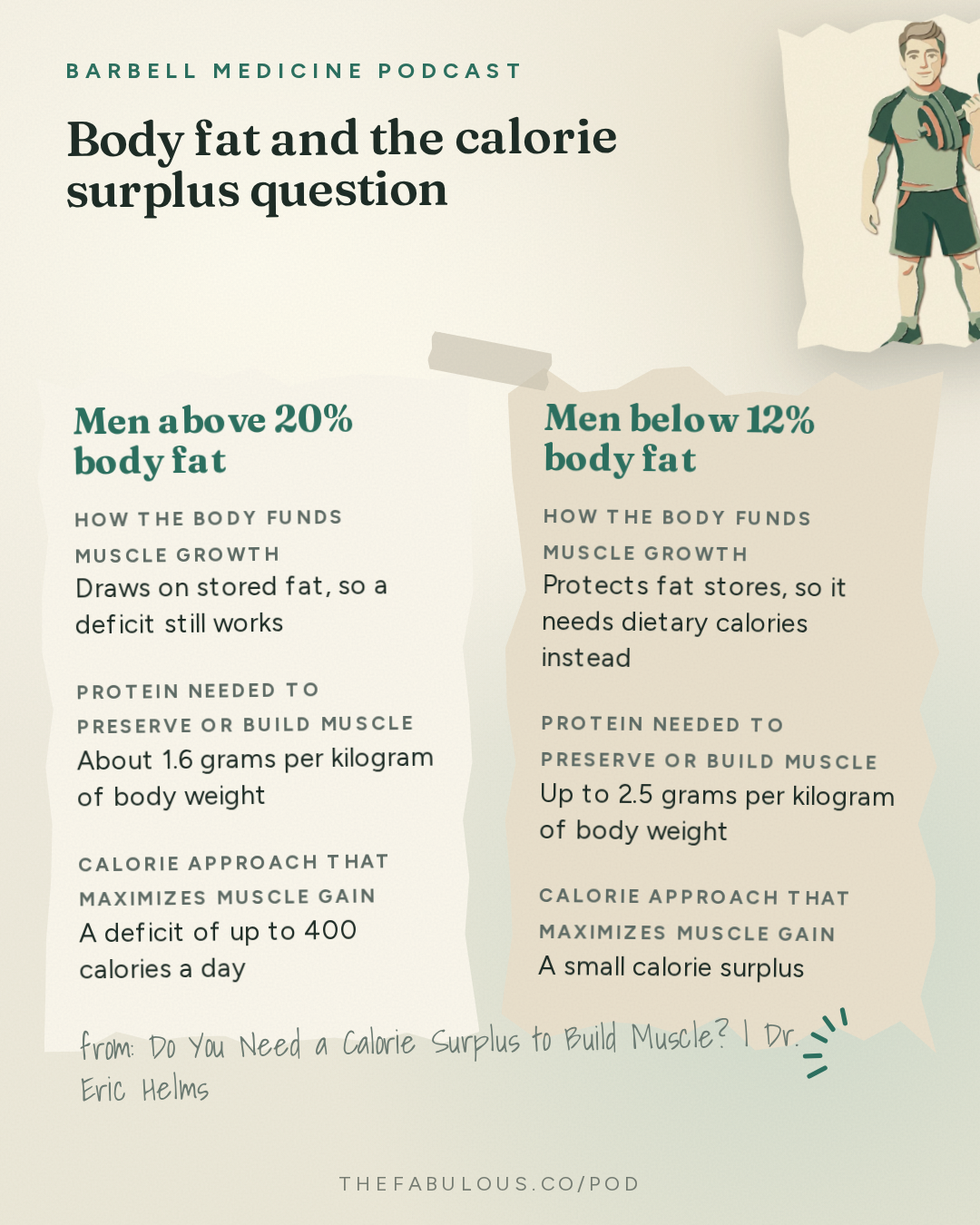 Body fat and the calorie surplus question — Barbell Medicine Podcast: Do You Need a Calorie Surplus to Build Muscle? | Dr. Eric Helms