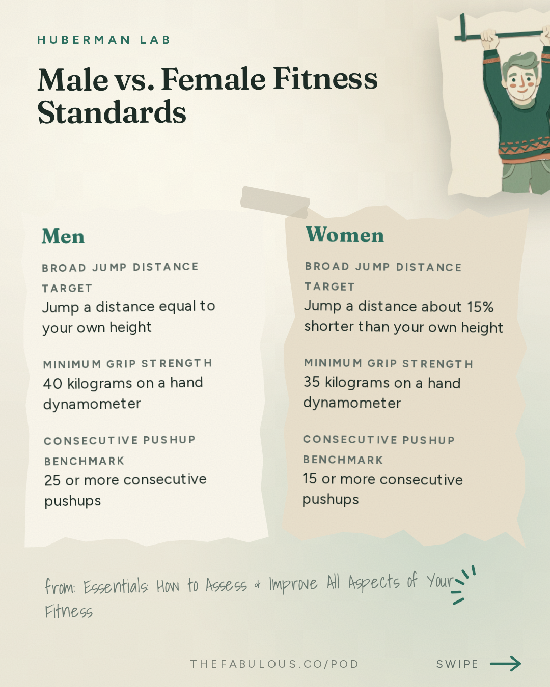 Male vs. Female Fitness Standards — Huberman Lab: Essentials: How to Assess & Improve All Aspects of Your Fitness | Dr. Andy Galpin