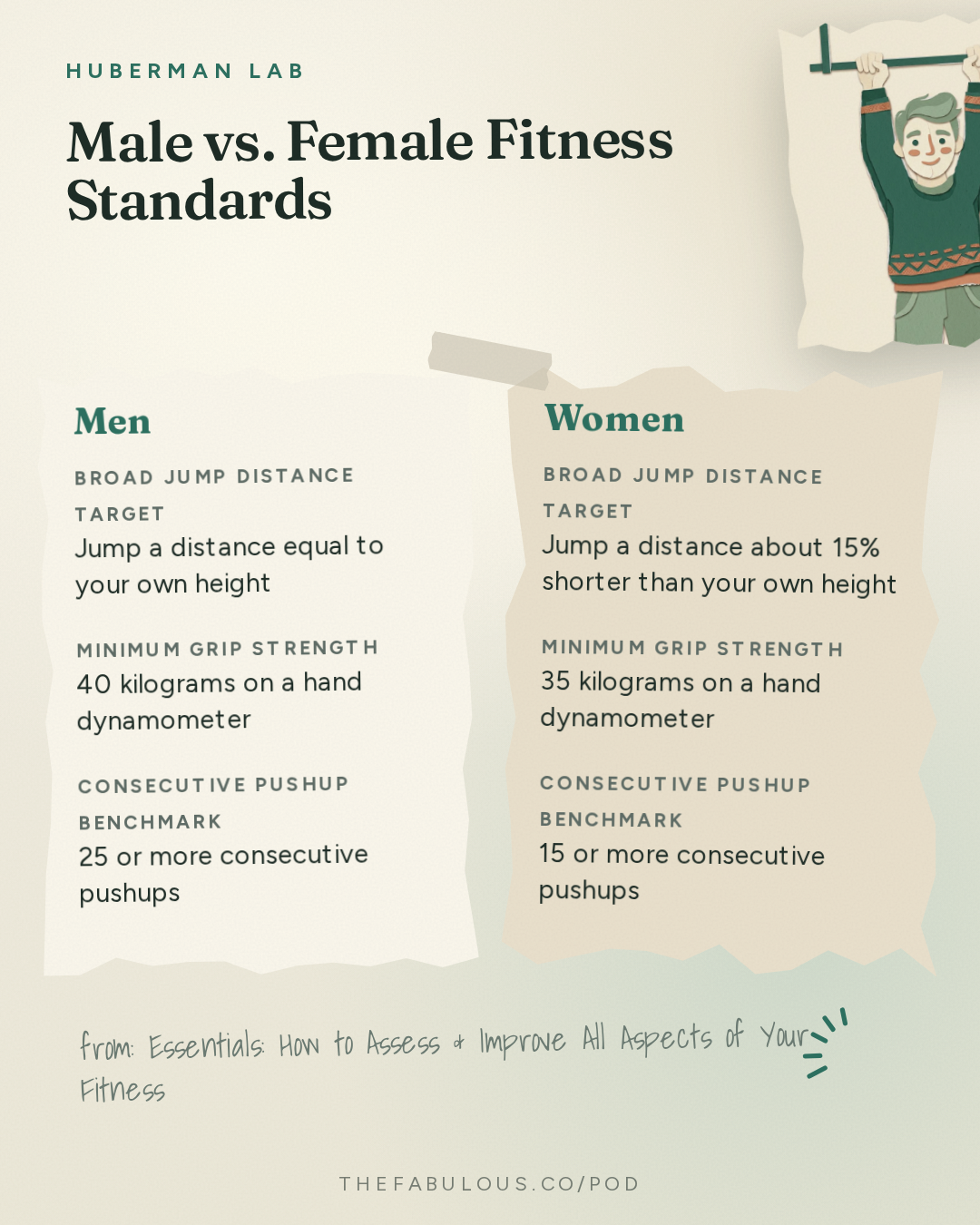 Male vs. Female Fitness Standards — Huberman Lab: Essentials: How to Assess & Improve All Aspects of Your Fitness | Dr. Andy Galpin